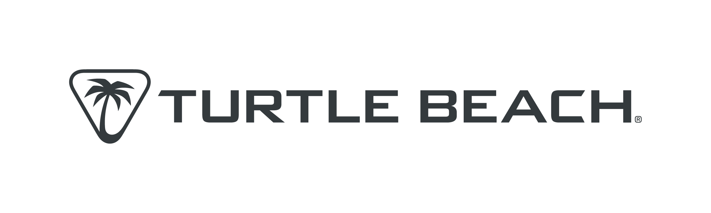 Turtle Beach