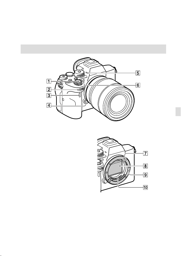 1664-sony-alpha-7r-iv-manual page bf